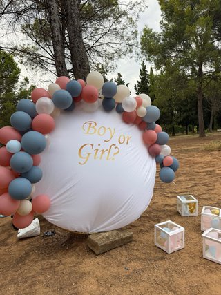 Forro Arco Revelación Boy or Girl?