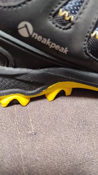 Zapatillas de senderismo Neak Peak Focus Low