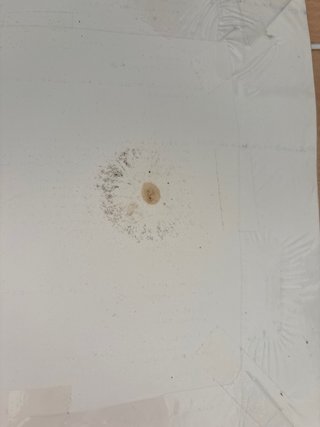 Libro de técnicas de ayuda odontológicas