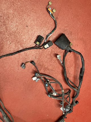 Instalación Eléctrica CBR600F (2007)