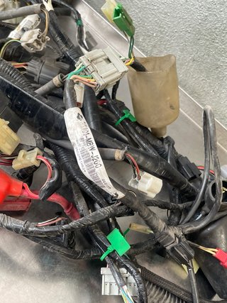 Instalación Eléctrica CBR600F (2007)