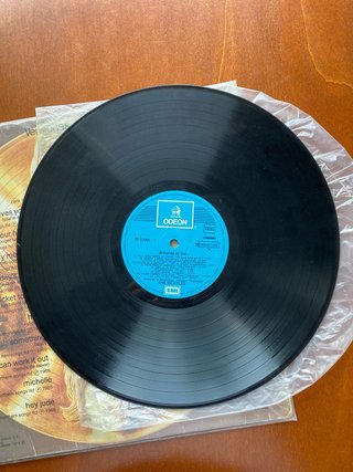 The Beatles 20 Éxitos de Oro Vinilo