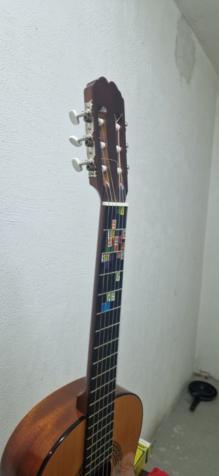 Guitarra clásica/acústica