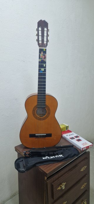 Guitarra clásica/acústica