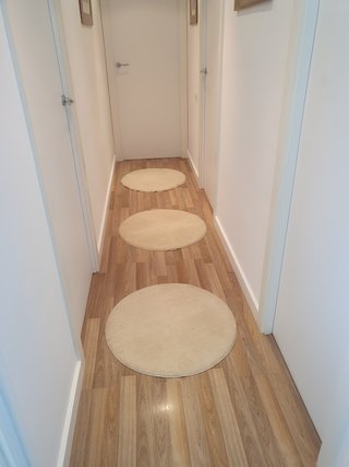 12 Alfombras Redondas Verde y Crema