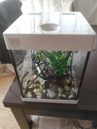 Acuario Nano Aqua LED Crystal