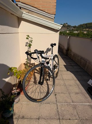 Bicicleta BH Contour + Regalos