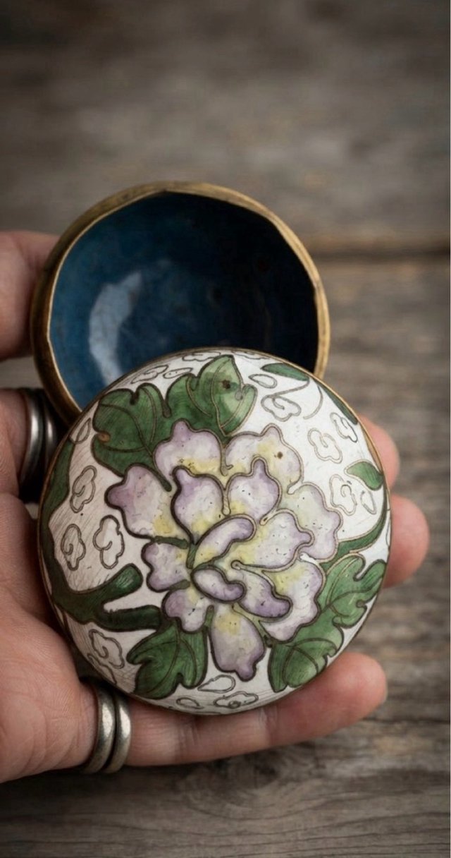 Dúo Excepcional: Joyero Cloisonné Qing/Pendientes