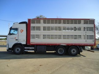 Volvo FH 540-CAMIONES GANADEROS