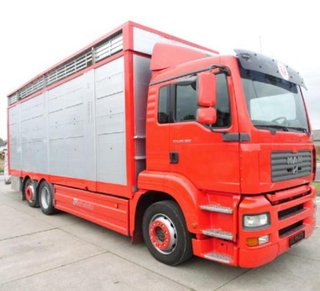 MAN TGA 26 350-CAMIONES GANADEROS