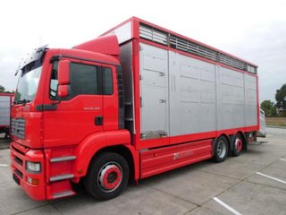 MAN TGA 26 350-CAMIONES GANADEROS
