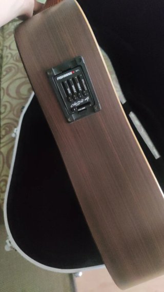 Guitarra Martin DCX1RE