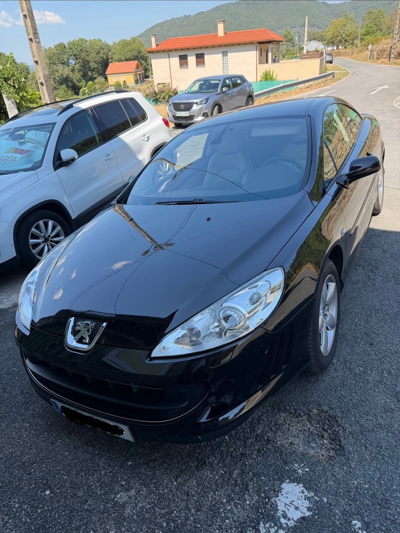 Peugeot 407 coupe - foto 1