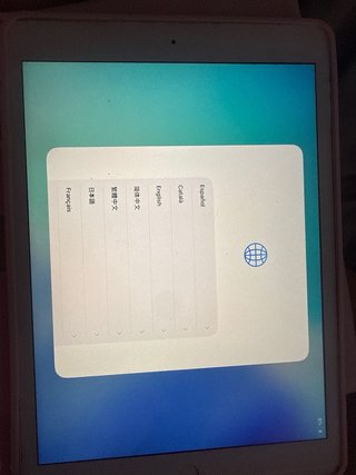 iPad Apple