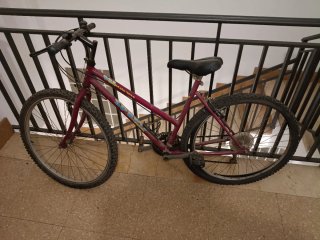 Bicicleta de montaña granate
