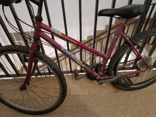 Bicicleta de montaña granate