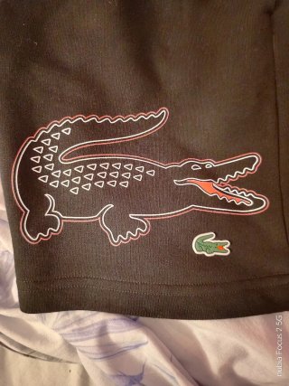 Conjunto Lacoste Sport Negro corto