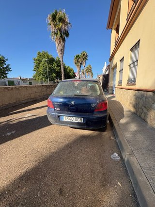 Peugeot 307 2005 1.6 110cv