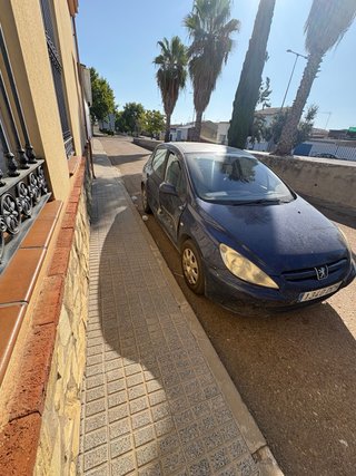 Peugeot 307 2005 1.6 110cv