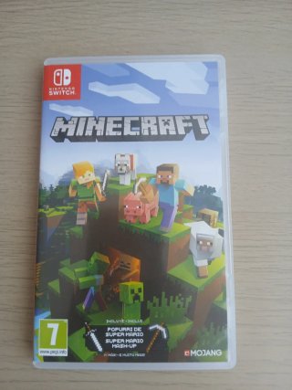 Minecraft Nintendo Switch