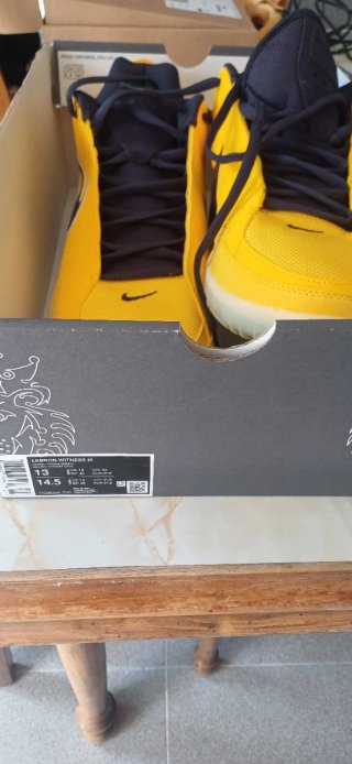 Zapatillas Baloncesto Nike LeBron Witness IX