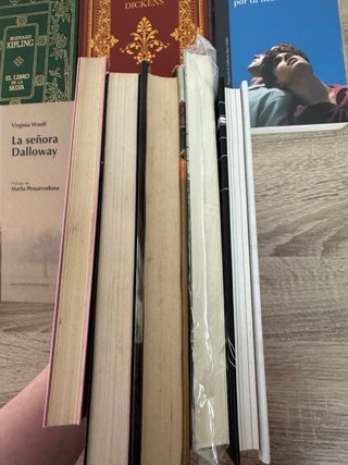 10 libros clasicos y narrativa contemporánea lote