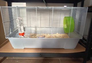 Jaula para hámster/jerbo con accesorios