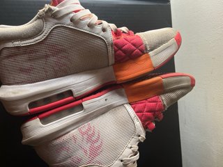 Nike Lebron Witness