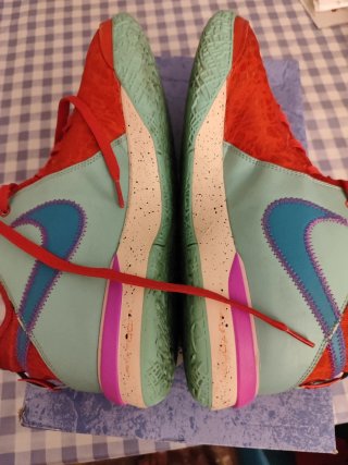 Nike LeBron NXXT Gen Zapatillas Talla 48.5