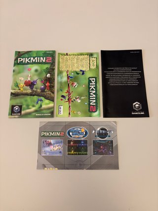 PIKMIN 2 NINTENDO GAMECUBE PAL ITA COMPLETO