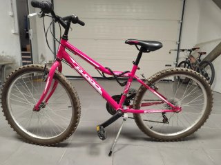 Bicicleta Montaña Rosa