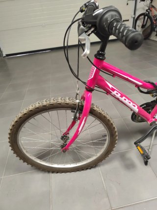 Bicicleta Montaña Rosa