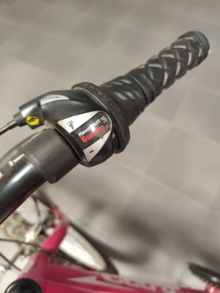 Bicicleta Montaña Rosa