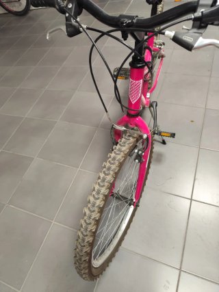 Bicicleta Montaña Rosa