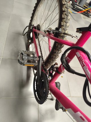 Bicicleta Montaña Rosa