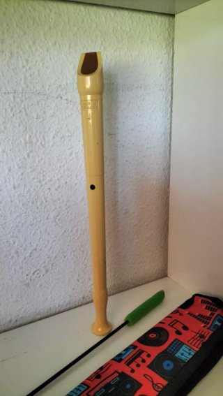 Flauta Hohner Escolar + Estuche + Limpiador