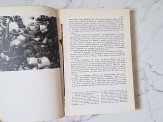 Occhio Critico 2 Guido Ballo Longanesi 1968 Arte