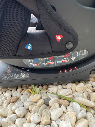 Silla coche Joie gris every stage