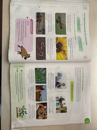 Ciencias de la naturaleza, 3 Primaria