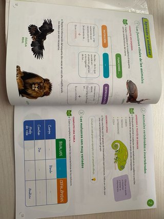 Ciencias de la naturaleza, 3 Primaria
