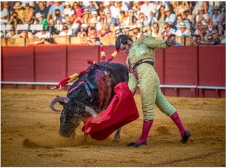Almohadillas Espectáculo Taurino 27 septiembre