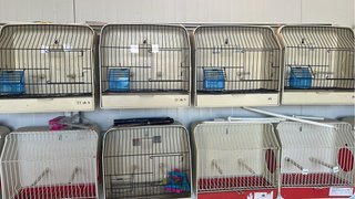 3 Jaulas para pájaros beige y rojas