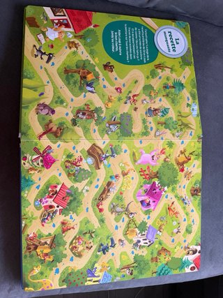 Les énigmes de Loup - libro en francés.