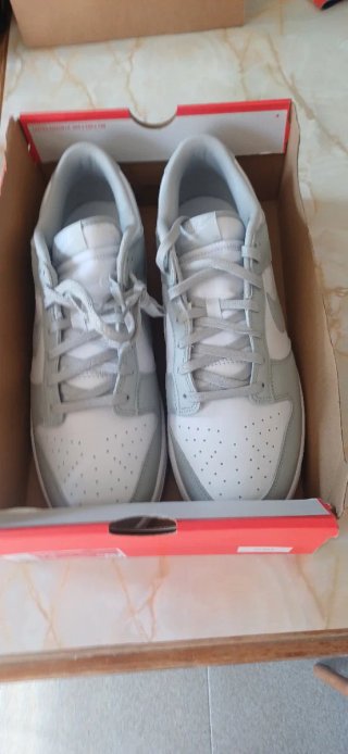 Zapatillas Nike Dunk Low Talla 48