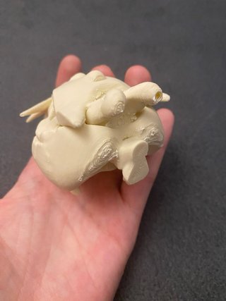 Craneo Raikou