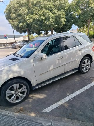 Mercedes-Benz ml 2010