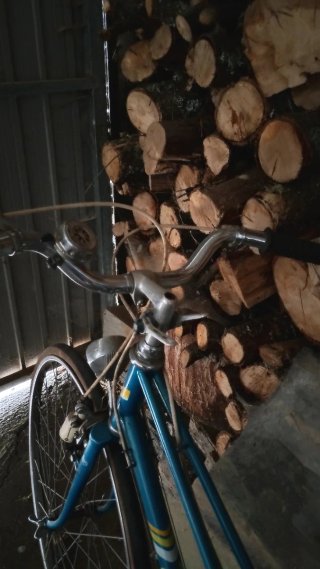 Bicicleta Gacela BH azul