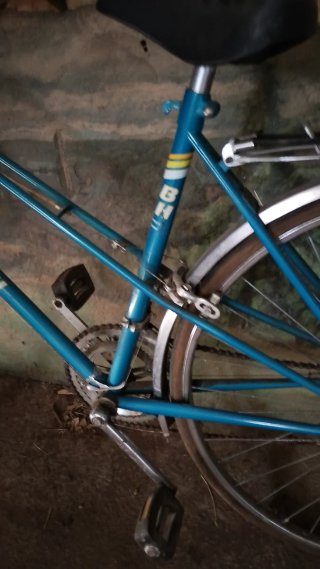 Bicicleta Gacela BH azul