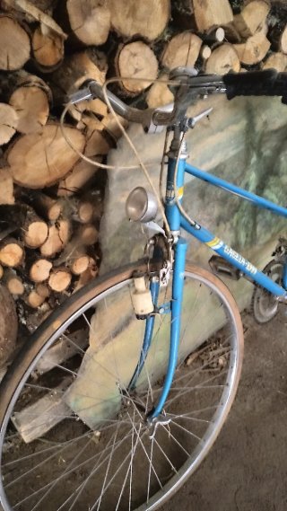 Bicicleta Gacela BH azul