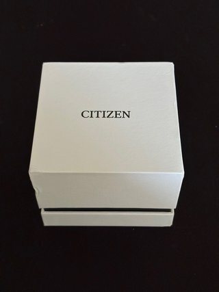Citizen Tsuyosa Automático Negro